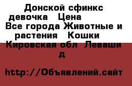 Донской сфинкс девочка › Цена ­ 15 000 - Все города Животные и растения » Кошки   . Кировская обл.,Леваши д.